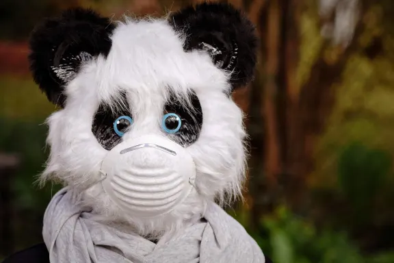 Casino Rich Prize Suporte